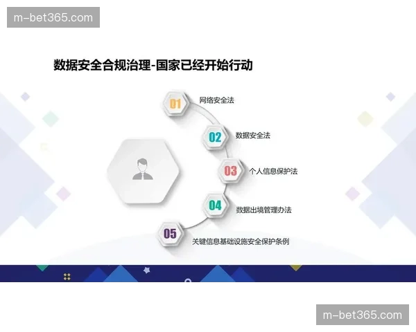 保障数据的安全与隐私保护催生专业合规咨询服务市场