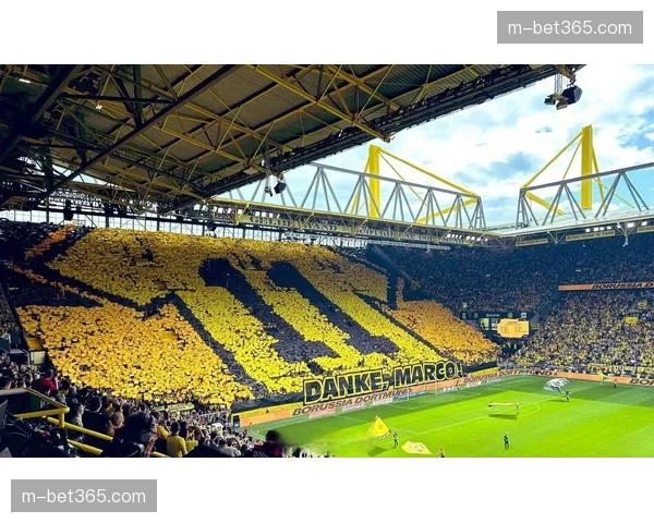 现场:贝蒂斯主场球迷展示巨型TIFO致敬华金退役一周年 现场:贝蒂斯主场球迷展示巨型TIFO致敬华金退役一周年